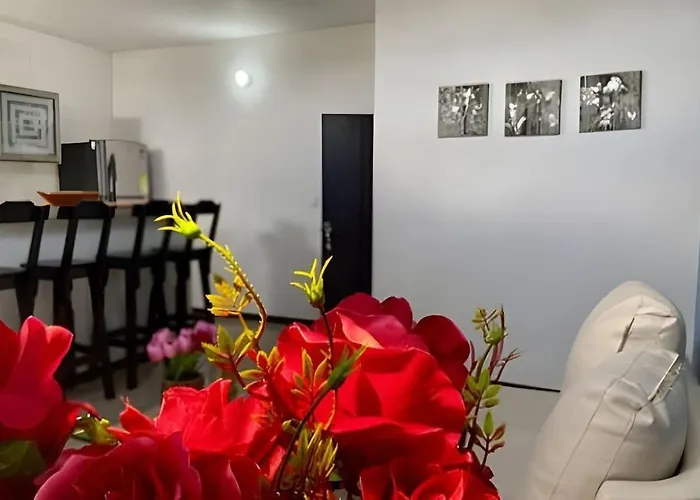 Encantador Apartamento Disenado Para Ti!